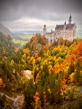 Neuschwanstein Castle Phone Skin
