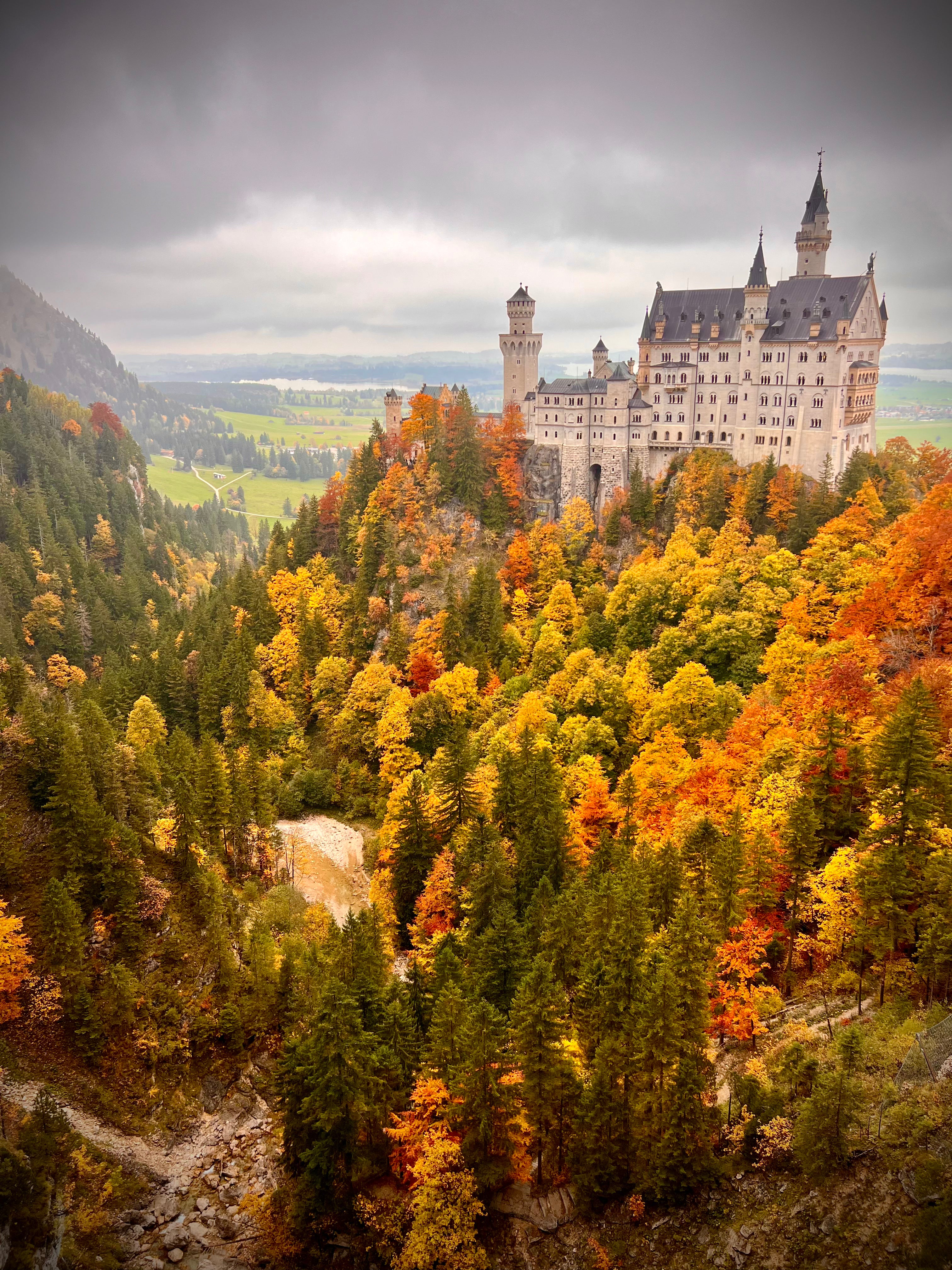 Neuschwanstein Castle Phone Skin