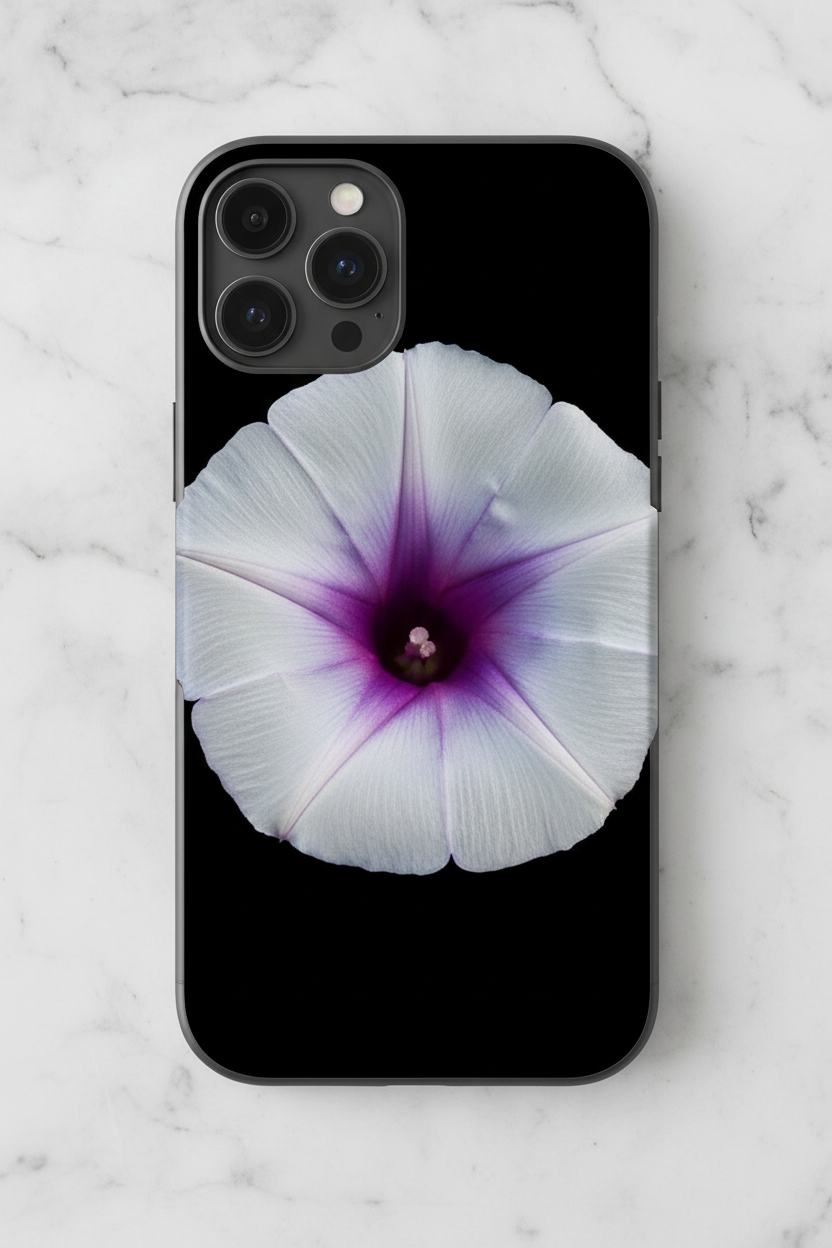 Morning Glory Phone Skin